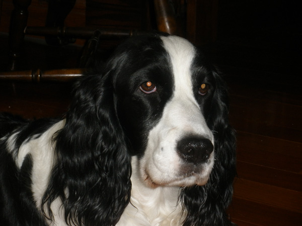 Pretty Annie Pretty Annie