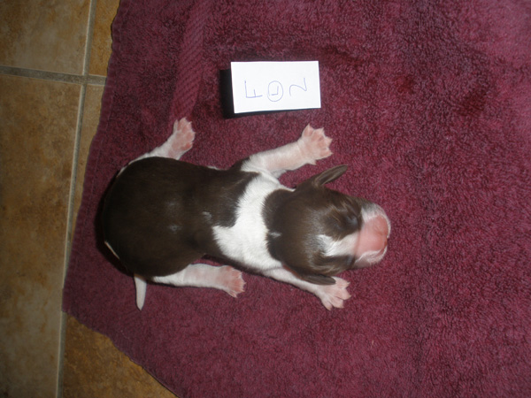 LW Female #2 LW Female #2