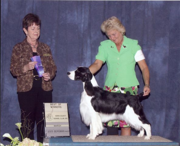 Belle Best of Winners in California