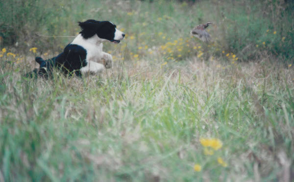 Grandma Ruby in the Field