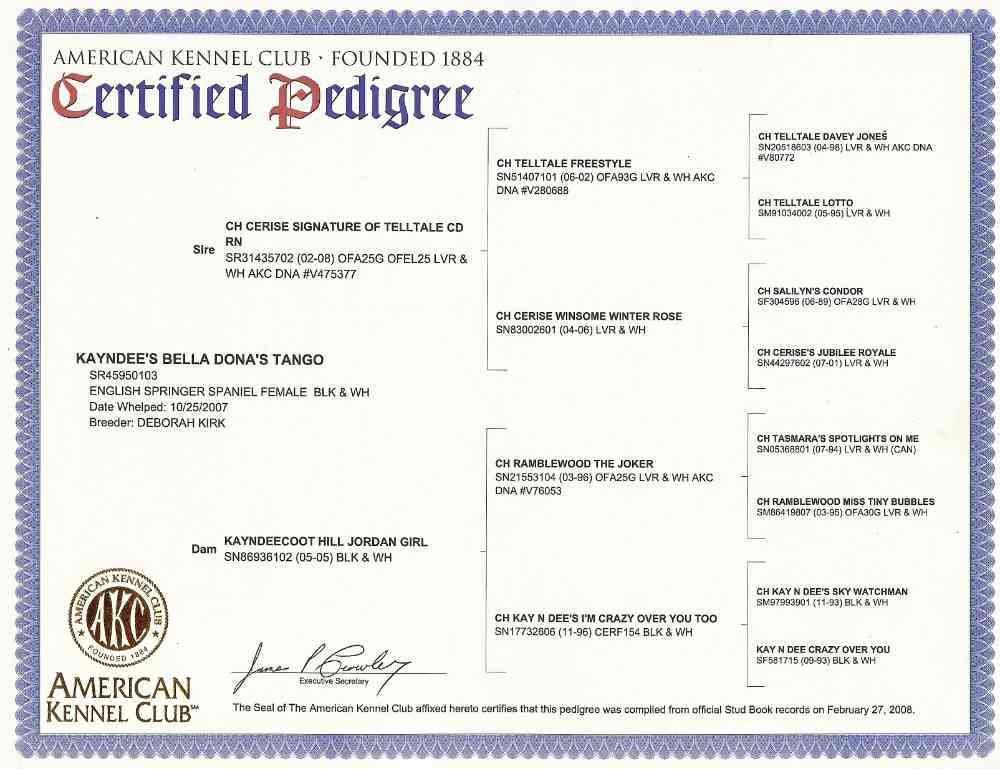 Belle's Pedigree