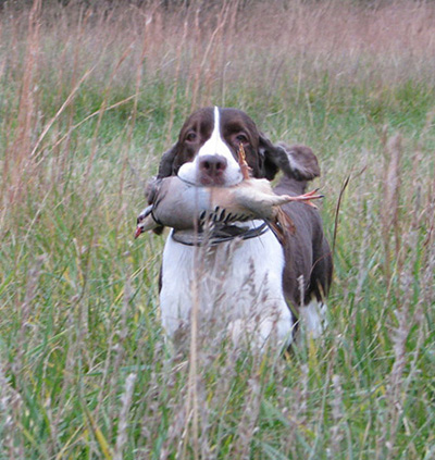 Connor In Field with Bird