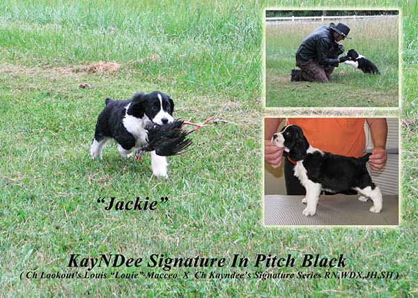 Jackie
