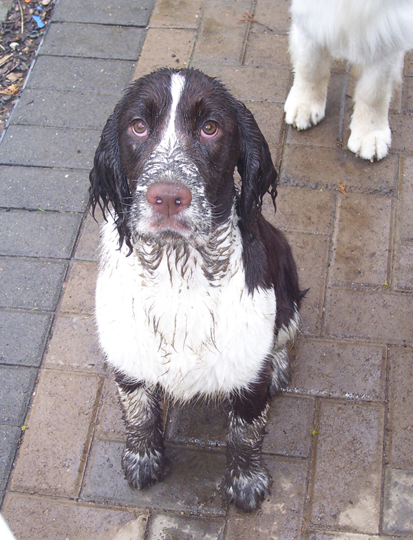 Muddy Kiera Muddy Kiera