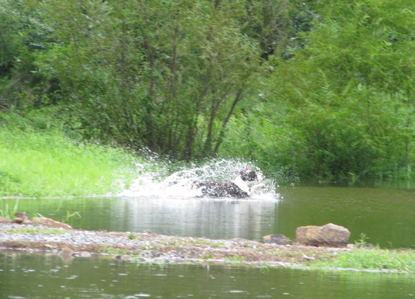 Water Retrieve Water Retrieve