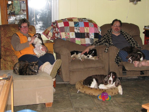 Dogs in Living Room