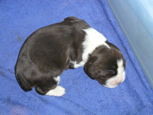 New Born New Born