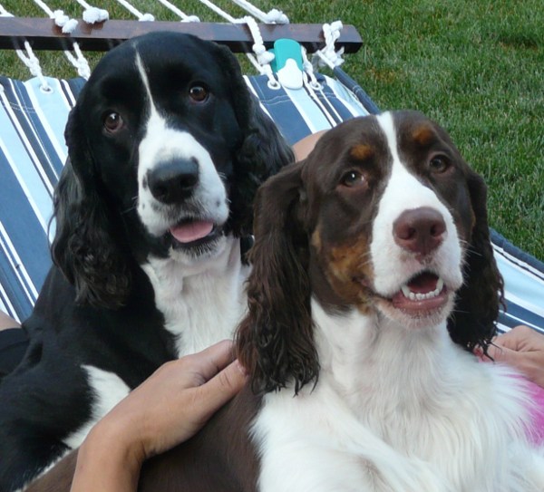 Maddy with her big brother Bentley