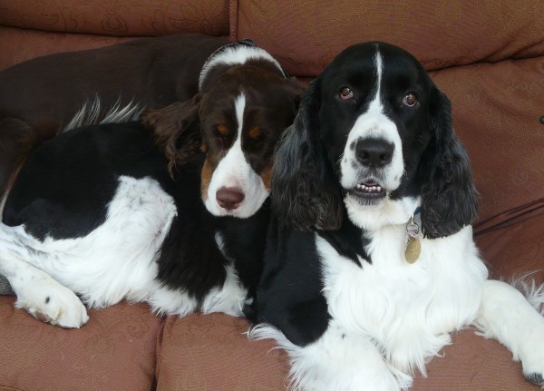 Maddy with her big brother Bentley