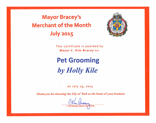 Merchant of the Month Award - July 2015
