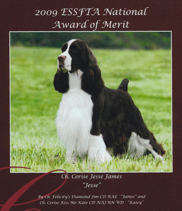 Troy's sire Ch Cerise Jesse James Troy's sire Ch Cerise Jesse James