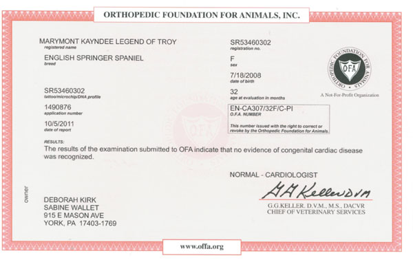 Troy OFA Heart Exam Troy OFA Heart Exam