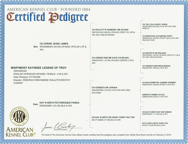 Troy Pedigree Troy Pedigree