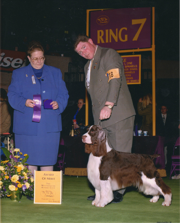 Sherman at the Garden