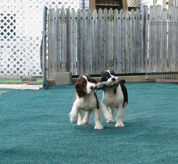 Zoey and Maddy Zoey and Maddy