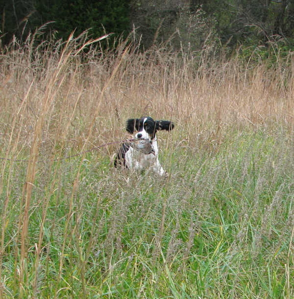 Zoey Hunting Zoey Hunting