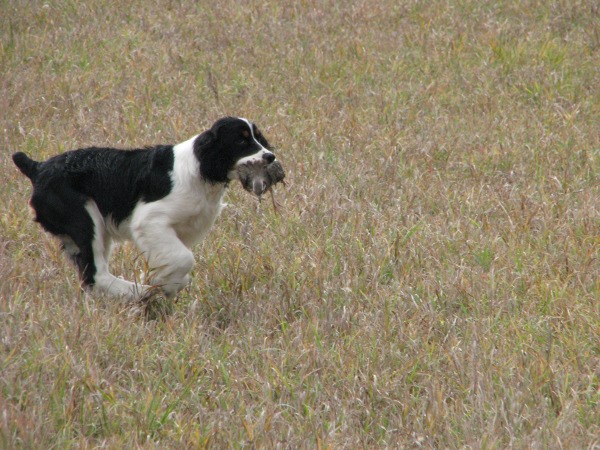 Zoey Hunting Zoey Hunting