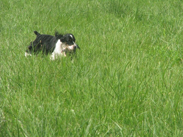 Zoey Hunting Zoey Hunting