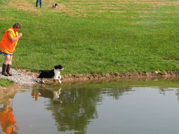 Zoey Water Entry Zoey Water Entry