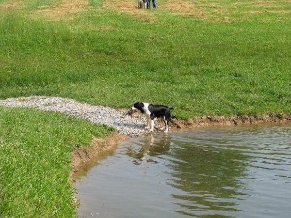 Zoey Water Retrieve